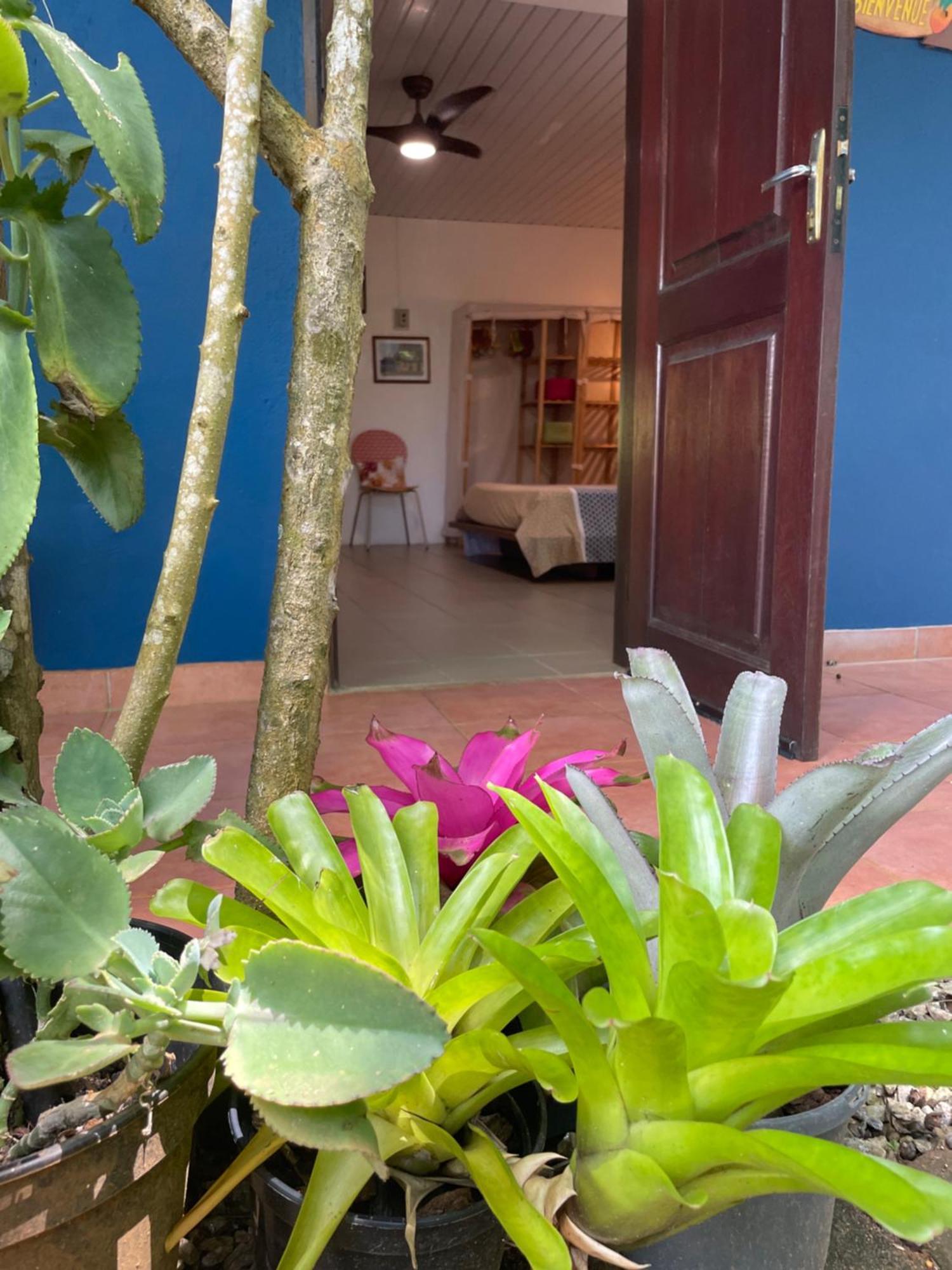 Ti Kaz Dan Bwa Apartment Cayenne Ngoại thất bức ảnh